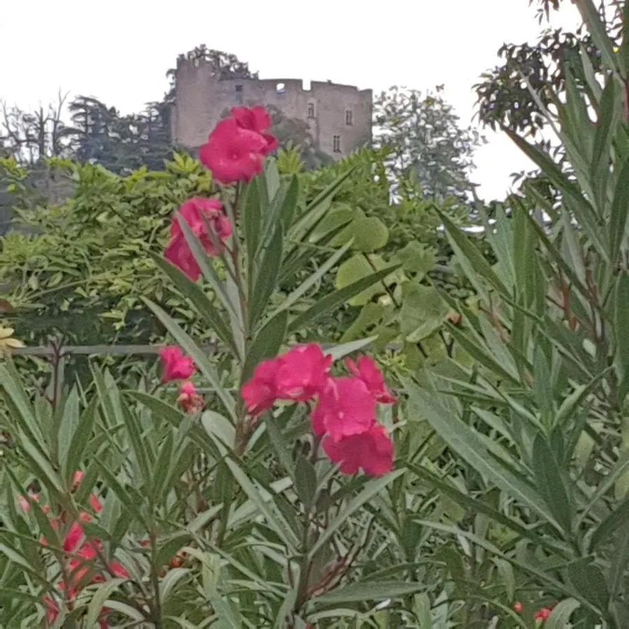 Les Chambres De Melis Cremieu Guest house